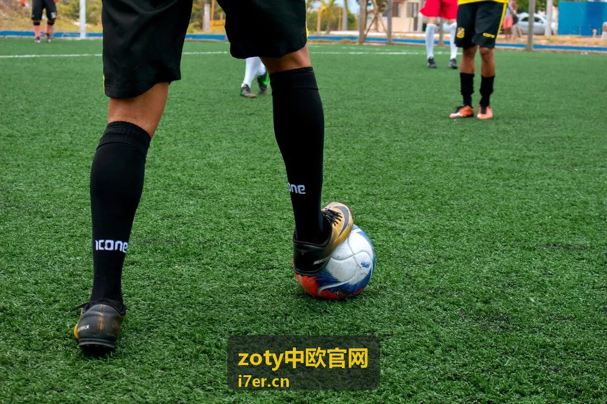 zoty中欧官网账号注册与登录说明