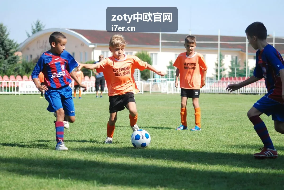 zoty中欧官网版本更新与数据备份说明